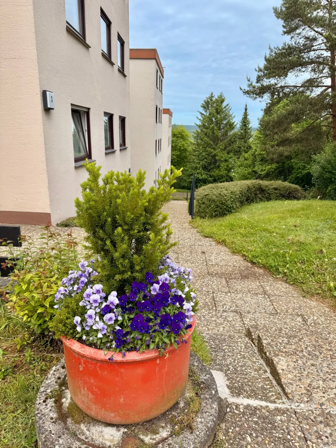 Wolf immobilien - Kauf und Miete von Immobilien - Wohnung