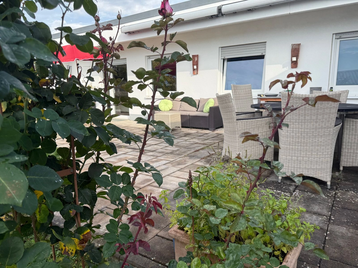 Wolf immobilien - Kauf und Miete von Immobilien - Gartenterrasse