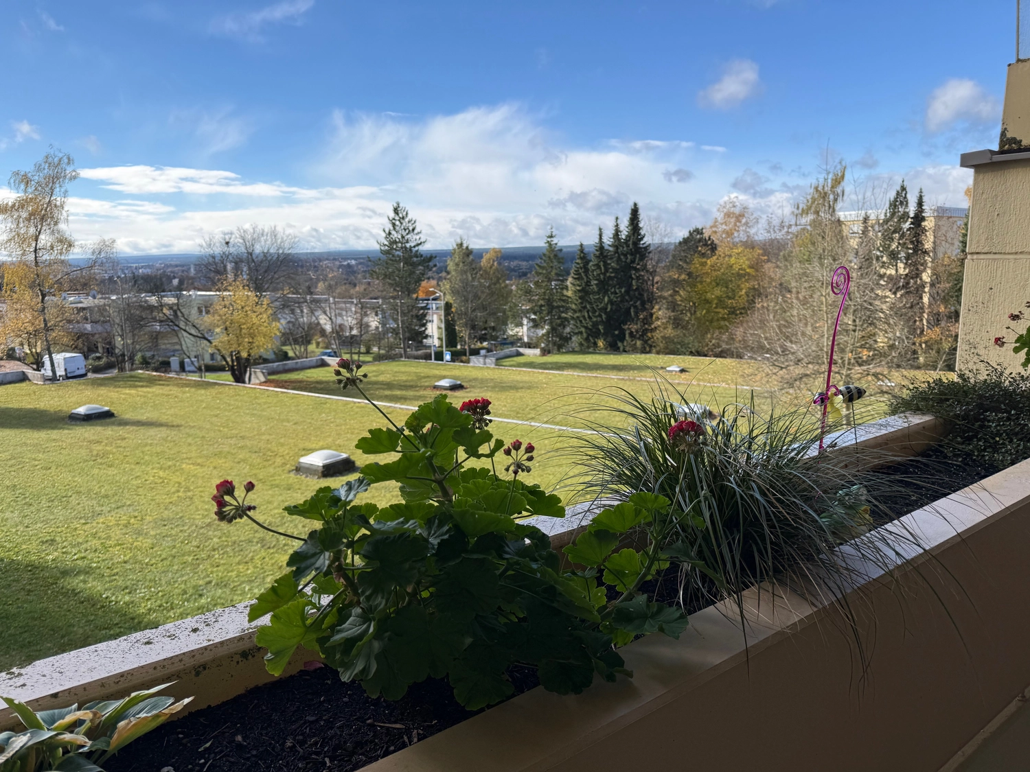 Wolf immobilien - Kauf und Miete von Immobilien - Badezimmer